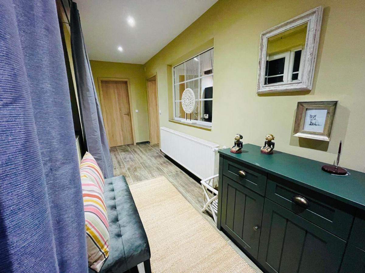 Villa 3 Mediaş 외부 사진